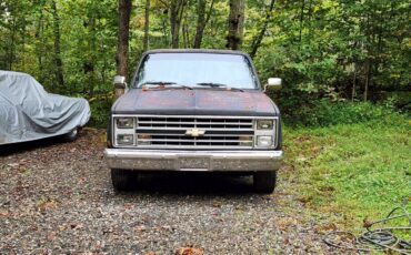 Chevy-c10-truck-1985-grey-1
