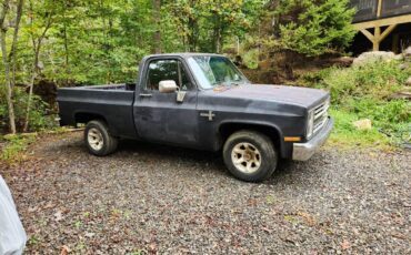Chevy-c10-truck-1985-grey