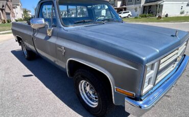 Chevy-c10-truck-1987-grey-5