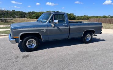 Chevy-c10-truck-1987-grey-9