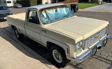 Chevy-c20-1975-white-1