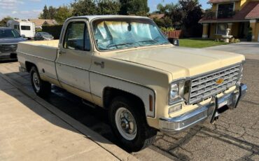 Chevy-c20-1975-white-2