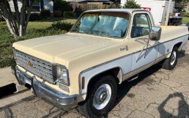 Chevy-c20-1975-white