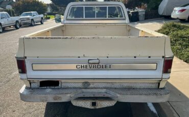 Chevy-c20-1975-white-5