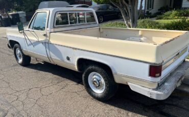 Chevy-c20-1975-white-6