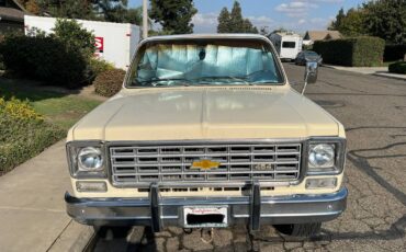 Chevy-c20-1975-white-8