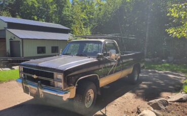 Chevy-c20-1984-brown-2