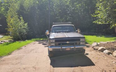 Chevy-c20-1984-brown-3
