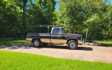 Chevy-c20-1984-brown-4