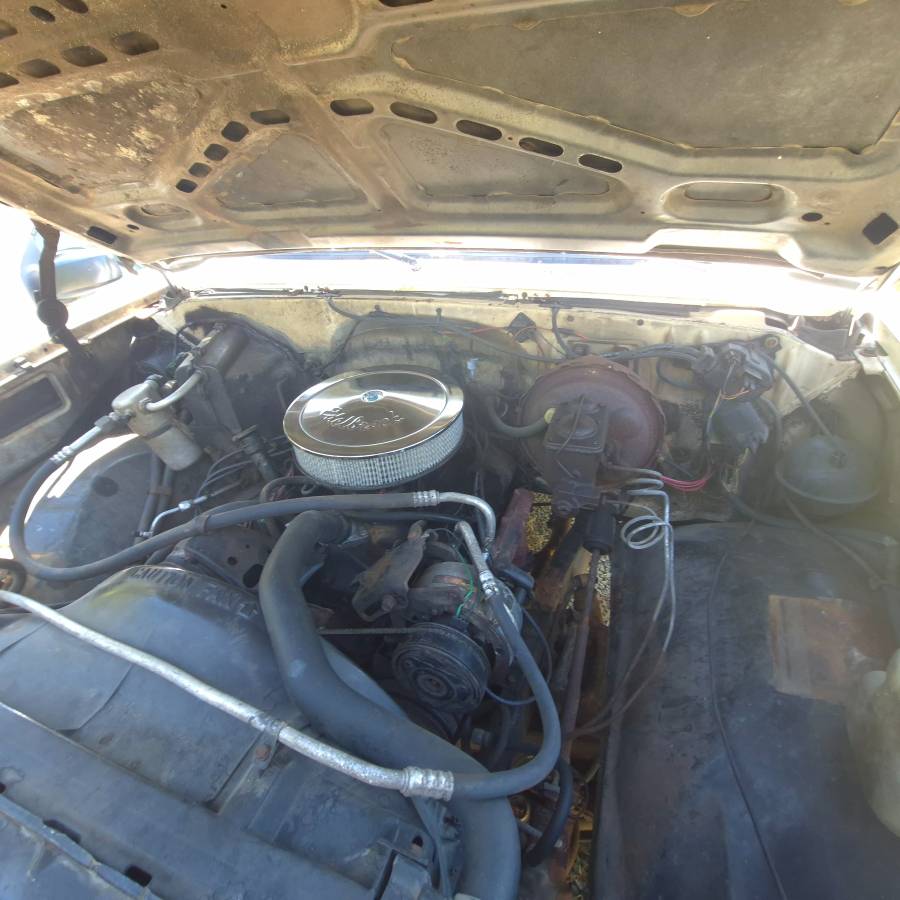Chevy-c20-1984-white-11