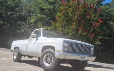 Chevy-c20-1984-white-6