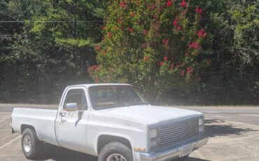 Chevy-c20-1984-white-7