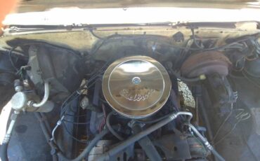 Chevy-c20-1984-white-8