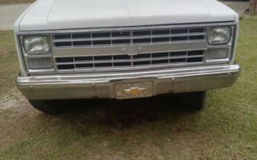 Chevy-c20-custom-deluxe-1984-white-4