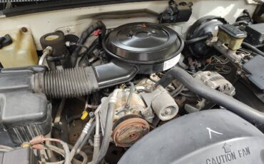 Chevy-c2500-1995-white-12
