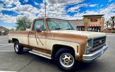 Chevy-c30-1979-2