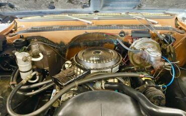 Chevy-c30-1979-4