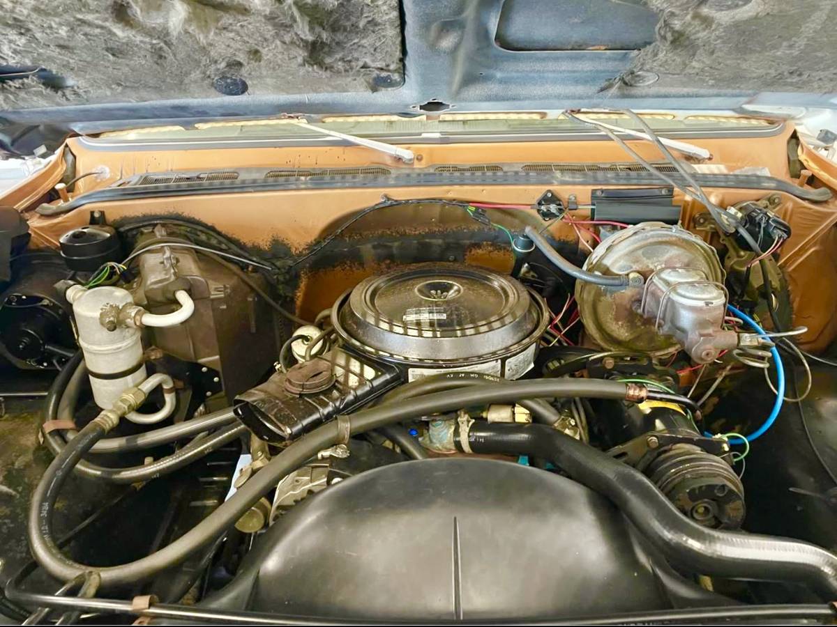 Chevy-c30-1979-4