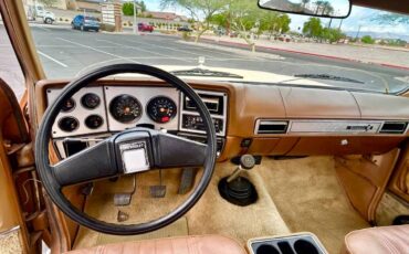 Chevy-c30-1979-5