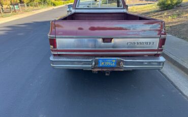 Chevy-c30-silverado-1978-5