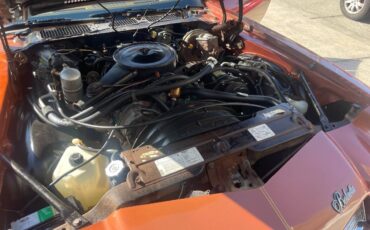 Chevy-camaro-berlinetta-1980-brown-15