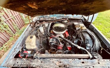 Chevy-caprice-brougham-1987-9