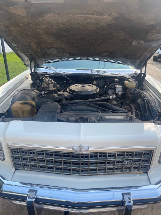 Chevy-caprice-classic-1975-white-2