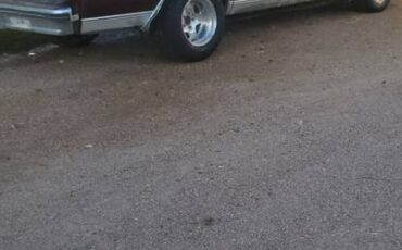 Chevy-caprice-classic-1983-purple-3