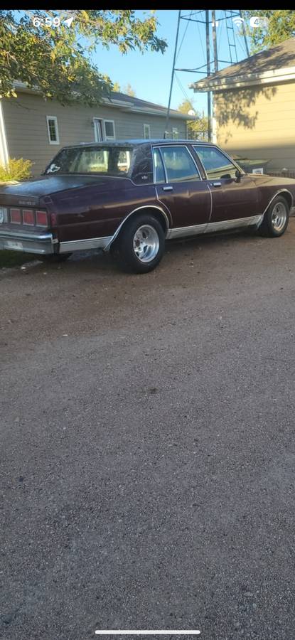 Chevy-caprice-classic-1983-purple-3