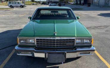 Chevy-caprice-classic-1984-green-10