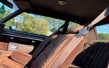 Chevy-caprice-classic-1984-green-14