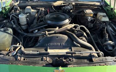 Chevy-caprice-classic-1984-green-2
