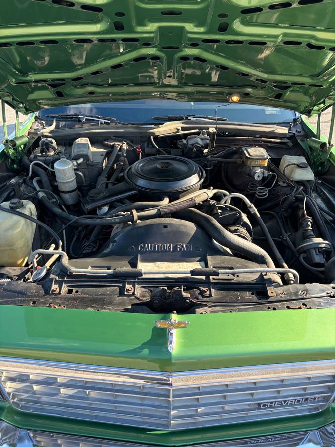 Chevy-caprice-classic-1984-green-2