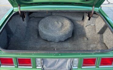 Chevy-caprice-classic-1984-green-3
