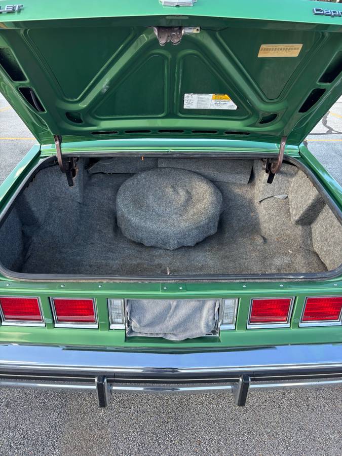 Chevy-caprice-classic-1984-green-3