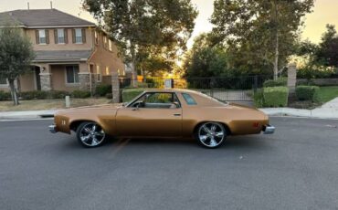 Chevy-chevelle-sports-coop-rebuilt-v8-350-wha-1974-13