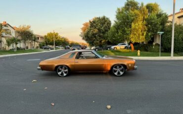 Chevy-chevelle-sports-coop-rebuilt-v8-350-wha-1974-20