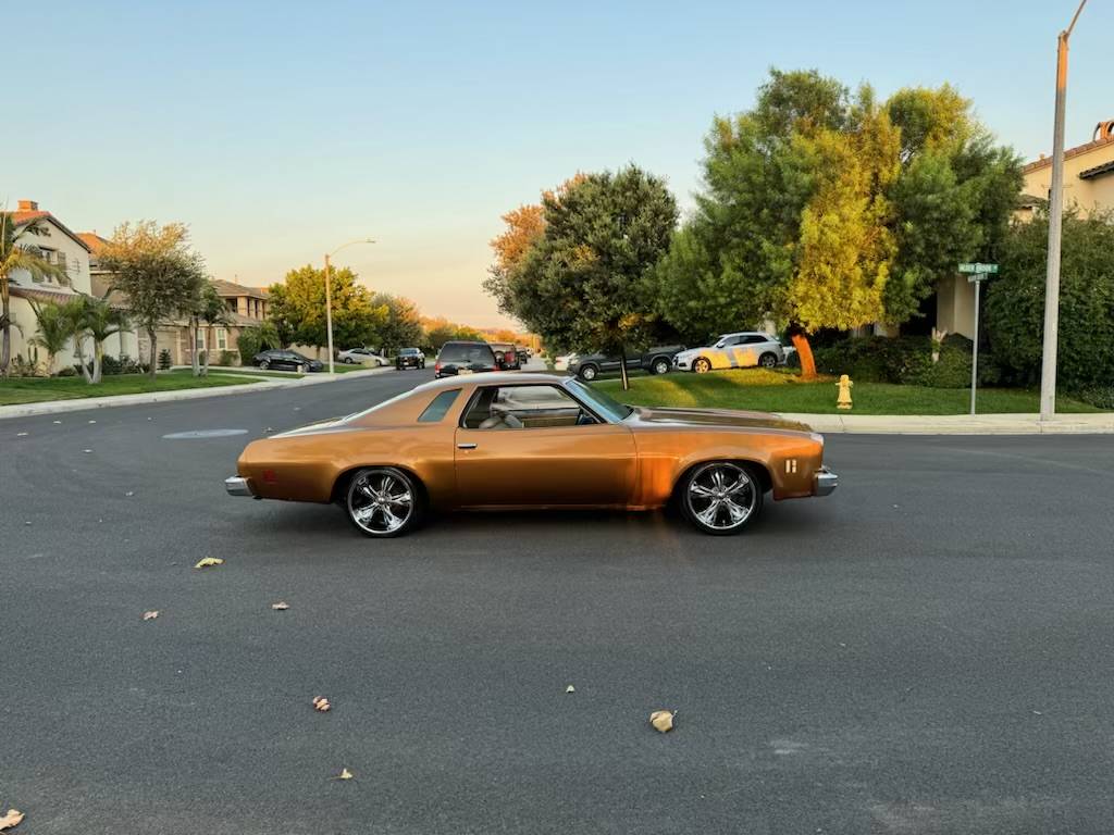Chevy-chevelle-sports-coop-rebuilt-v8-350-wha-1974-20
