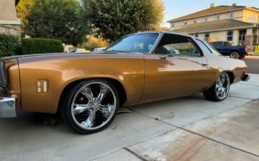 Chevy-chevelle-sports-coop-rebuilt-v8-350-wha-1974-24