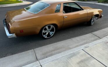 Chevy-chevelle-sports-coop-rebuilt-v8-350-wha-1974-25