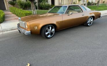 Chevy-chevelle-sports-coop-rebuilt-v8-350-wha-1974-27