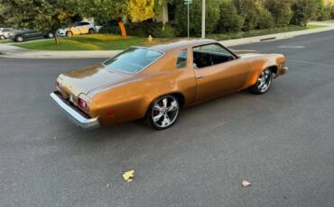 Chevy-chevelle-sports-coop-rebuilt-v8-350-wha-1974-3