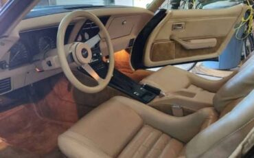 Chevy-corvette-1979-brown-3