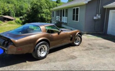 Chevy-corvette-1979-brown-4