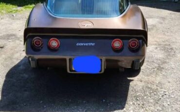Chevy-corvette-1979-brown-5
