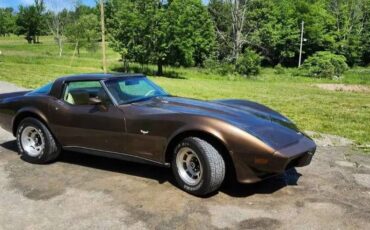 Chevy-corvette-1979-brown-6