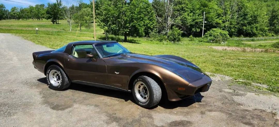 Chevy-corvette-1979-brown-6