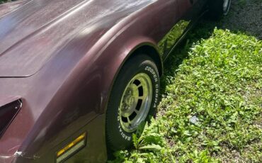 Chevy-corvette-1980-custom-2