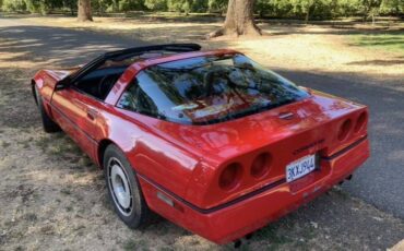Chevy-corvette-1984-7