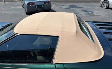 Chevy-corvette-convertible-1994-green-11